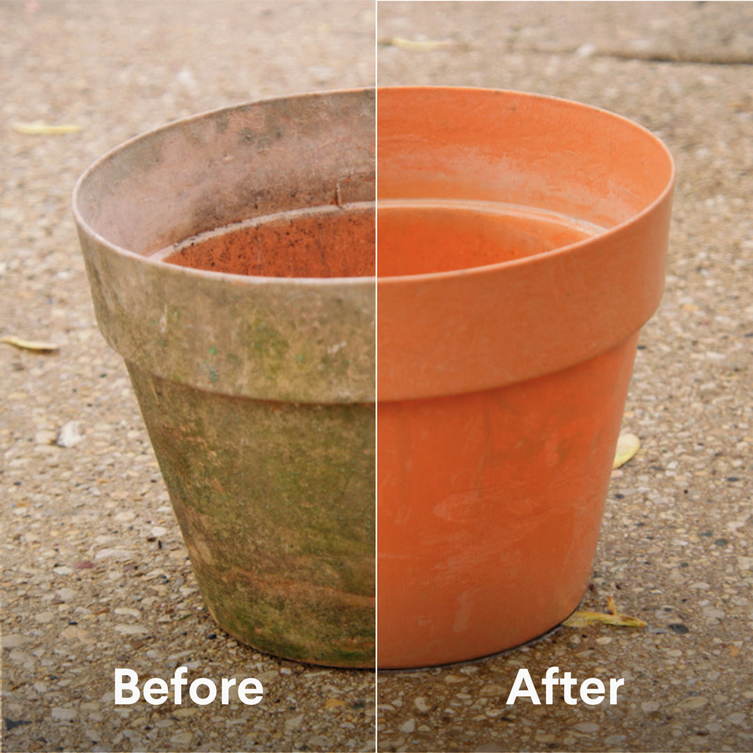 Clorox™ ProResults Outdoor Bleach Concentrate | Unscented product image 3