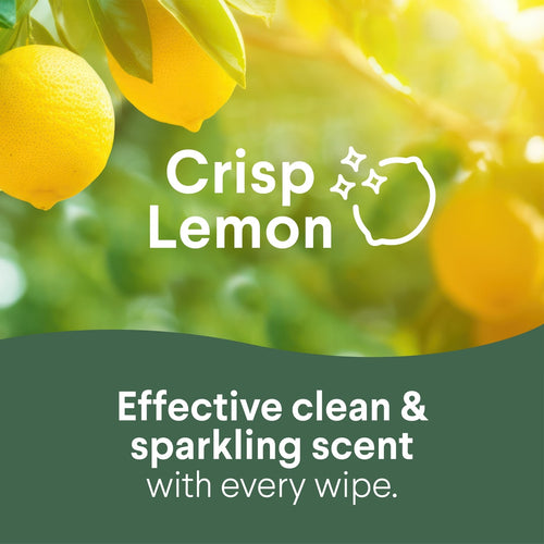 Clorox™ Disinfecting Cleaning Wipes | Scented product image 2